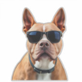 サングラスにドッグカスタム・イン・ビニール・ステッカー シール (正面)