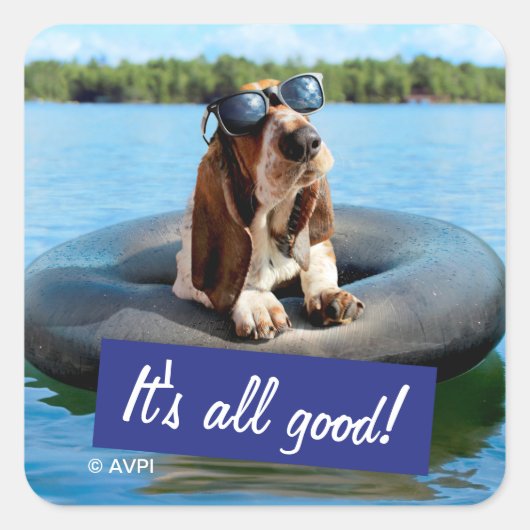 サングラスのバセットハウンド スクエアシール (正面)