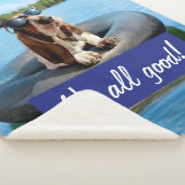 サングラスのバセット·ハウンド シェルパブランケット (3/4)