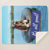 サングラスのバセット·ハウンド シェルパブランケット (正面(横))