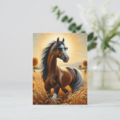 サングラスのベイピントホース ポストカード (スタンド正面)