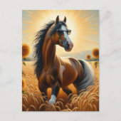 サングラスのベイピントホース ポストカード (正面)