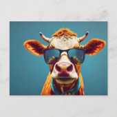 サングラスの牛 ポストカード (正面)