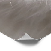 サングラスの白い猫クール、猫、可愛いペット ポスター (角)