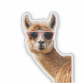 サングラスをかけた可愛いラマ シール (正面)