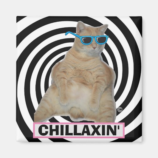 サングラスをかけた太ったマンクス猫 CHILLAXIN" マグネット (正面)