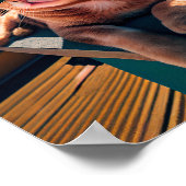 サングラスをかけているマンションのトップ猫のポスター ポスター (角)