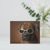 サングラスをかけている犬 ポストカード (スタンド正面)