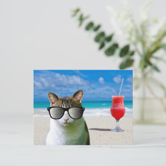 サングラスをかけている猫のビーチ ポストカード (スタンド正面)