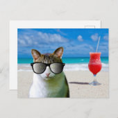 サングラスをかけている猫のビーチ ポストカード (正面/裏面)