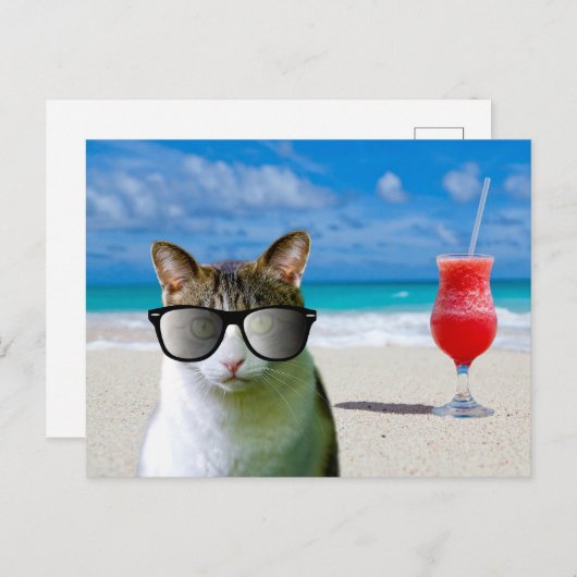 サングラスをかけている猫のビーチ ポストカード (正面/裏面)