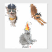 サングラスをかけている猫 シール (シート)