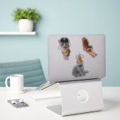 サングラスをかけている猫 シール (デスク上のノートパソコン)