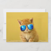 サングラスをしたかわいい子猫 招待状 (裏面)