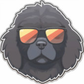 サングラスクールのニュークラシックファンドランドTシャツ シール (正面)