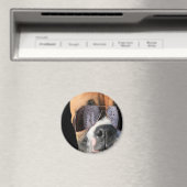 サングラスクールマグネットのボクサー マグネット (インサイチュ (食洗機))