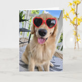 サングラスサマーグリーティングのゴールデンレトリバー カード (黄色い花)