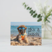 サングラスポストカードを着たLeonberger Puppy ポストカード (スタンド正面)