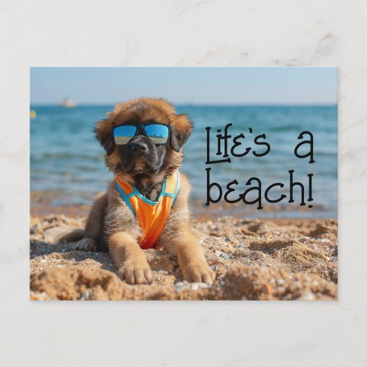 サングラスポストカードを着たLeonberger Puppy ポストカード (正面)