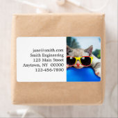 サングラスリラックスを着た猫マットレス ラベル (インサイチュ)