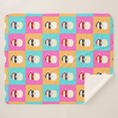 サングラス入りネオンサンカッコいいタカラフルン シェルパブランケット (正面(横))