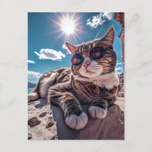 サングラス葉書を着た海辺の猫 ポストカード