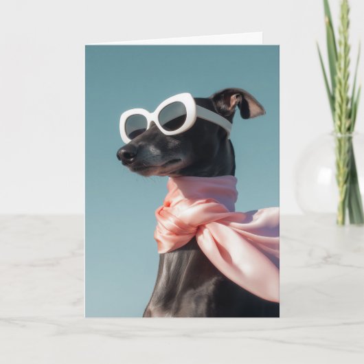 サングラス+スカーフのオシャレな犬 カード (正面)