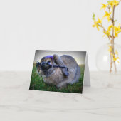 サングラス/メッセージカードが付いているバニー カード (黄色い花)