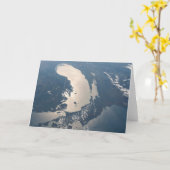 サングリントビームスオフミシガン湖 カード (黄色い花)