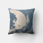 サングリントビームスオフミシガン湖 クッション (裏面)