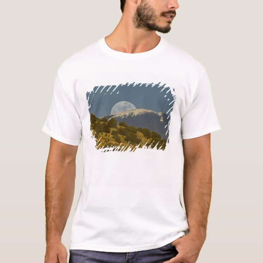 サングレ・デ・クリスト山脈の月明かり Tシャツ (正面)