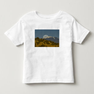 サングレ·ド·クリスト山脈の上のムーンライズ トドラーTシャツ
