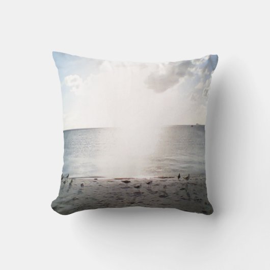 サングローリーアットザビーチ クッション (正面)