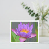 サンケンガーデンズパープルウォーターリリー2008 #3 03 ポストカード (スタンド正面)