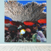 サンゴと魚の壁飾り キャンバスプリント (インサイチュ (ウッドフロア))