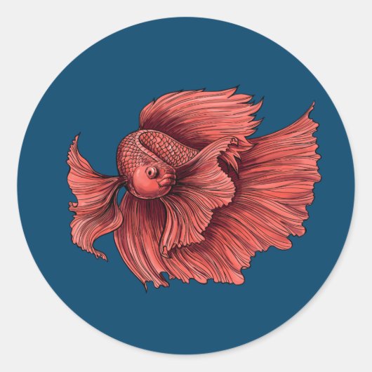 サンゴのシャム戦闘魚 ラウンドシール (正面)