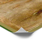 サンゴのヘビとクモ ポスター (角)