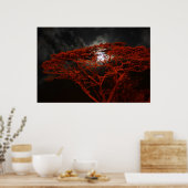 サンゴのモンキーポッドと月のポスター ポスター (キッチン)