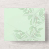 サンゴの星のクリスマスグリーティングフォト オールインワン招待状 (裏面)