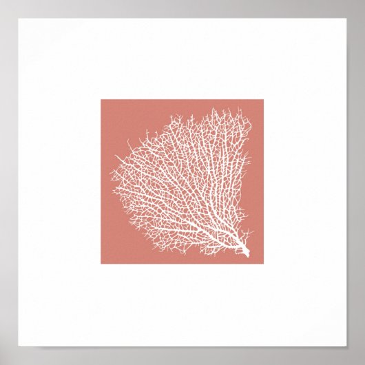 サンゴの枝 ポスター (正面)