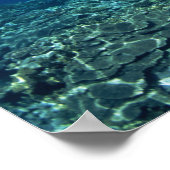 サンゴの棚 ポスター (角)