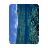 サンゴの棚 マグネット (縦)