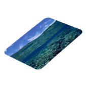 サンゴの棚 マグネット (左側)