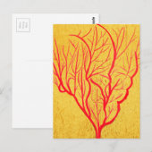 サンゴの環境自然モダン芸術 ポストカード (正面/裏面)