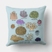 サンゴの種類 クッション (裏面)