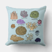 サンゴの種類 クッション (正面)