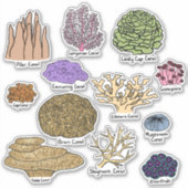 サンゴの種類 シール (正面)