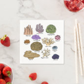 サンゴの種類 スタンダードカクテルナプキン (インサイチュ)