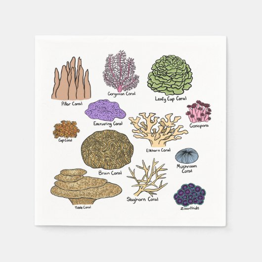 サンゴの種類 スタンダードカクテルナプキン (正面)