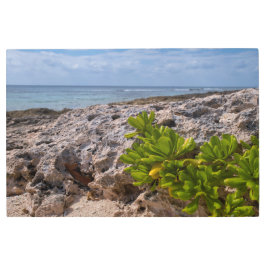 サンゴの縁 メタルプリント